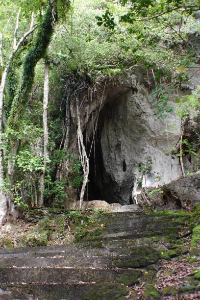 istock Opening of a cave in the jungle 953554264