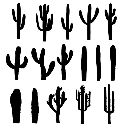 Black saguaro silhouettes of various forms. Vector illustration