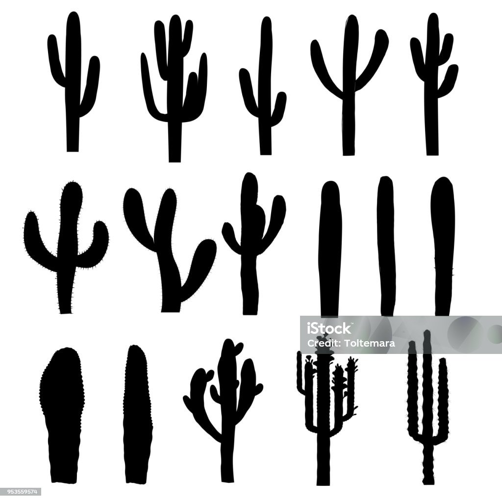 Black silhouettes of saguaro cactus. Vector Black saguaro silhouettes of various forms. Vector illustration Cactus stock vector