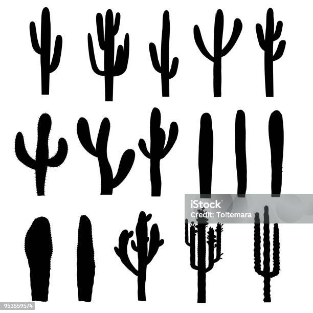Black Silhouettes Of Saguaro Cactus Vector Stock Illustration - Download Image Now - Cactus, Outline, Saguaro Cactus