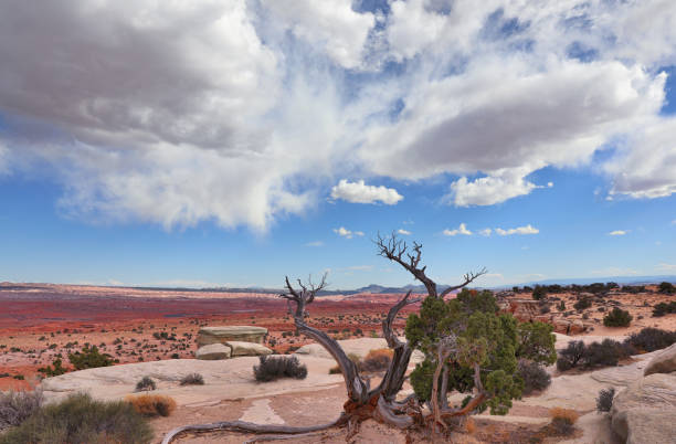 View of the Salt Wash in the San Rafael Swell, Utah. USA
