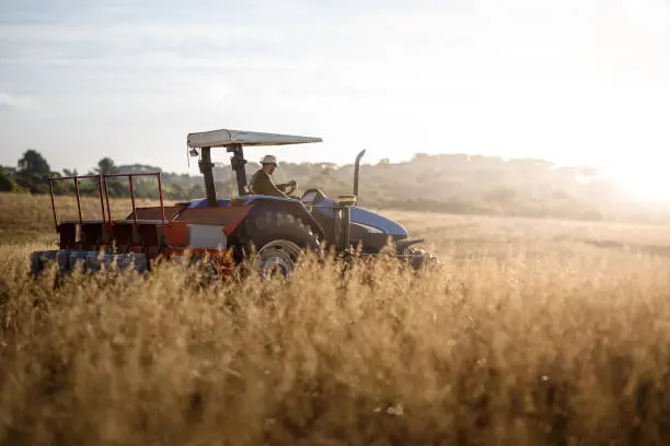 Tractor driver doing the picking.