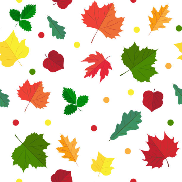 660+ Automn Stock Photos, Pictures & Royalty-Free Images - iStock