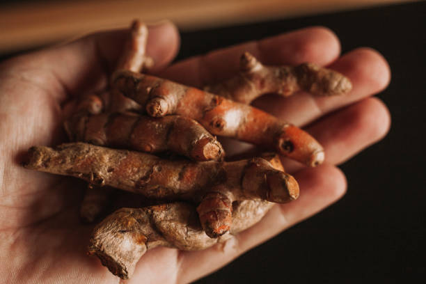 istock Macro image of turmeric roots on a man hand. 953584246