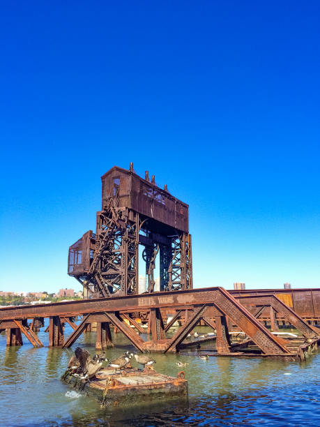 istock Abandoned dock with geese in front on a beautiful day 953586922