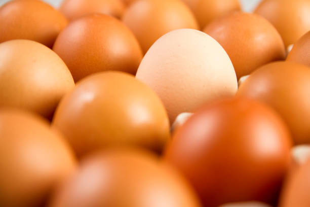 istock One lighter egg among dark ones concept.Close up with selective focus concept fresh eggs with copy space for background or wallpaper. Eggs on egg rack ready to use for cooking. 953588982