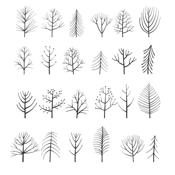 vector set of doodle trees vector set of doodle trees, hand drawn natural border linden new jersey stock illustrations