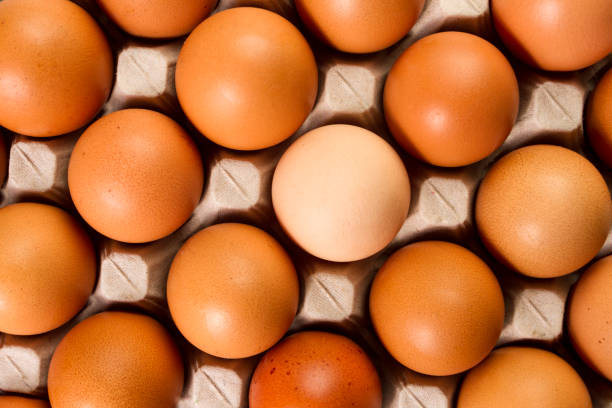 istock One lighter egg among dark ones concept.Close up with selective focus concept fresh eggs with copy space for background or wallpaper. Eggs on egg rack ready to use for cooking. 953589220