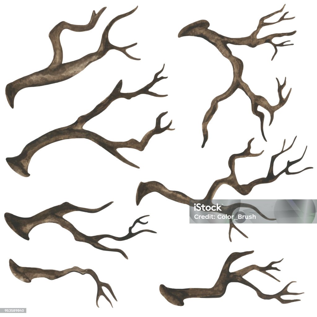 Watercolor dry tree branches Watercolor dry tree branches set close up isolated on white background. Hand painting on paper Branch - Plant Part stock vector