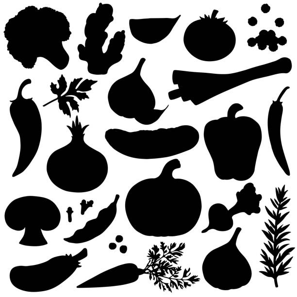 ilustraciones, imágenes clip art, dibujos animados e iconos de stock de verduras, condimentos, siluetas de especias negro - parsley vegetable leaf vegetable food