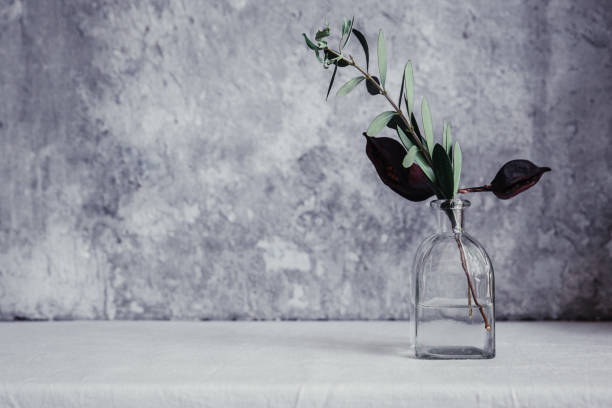 istock Dried flower in bottle, minimalism in still life. Copy space background 953596082