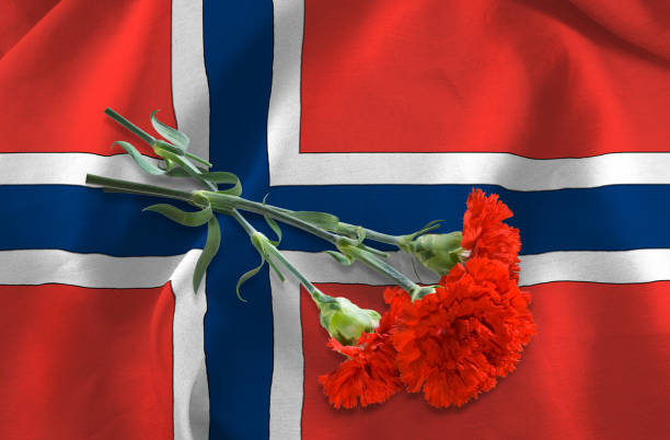 istock flag of Norway and flowers close-up 953596314