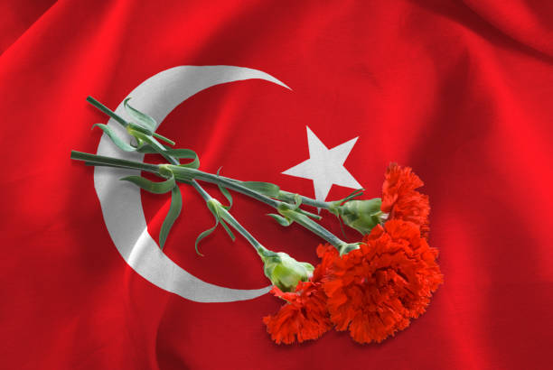 istock image of Turkey flag and flowers closeup 953596366