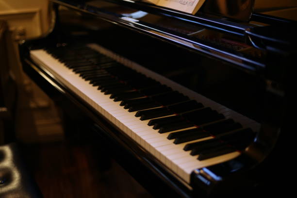 istock Waiting for the piano player 953602796