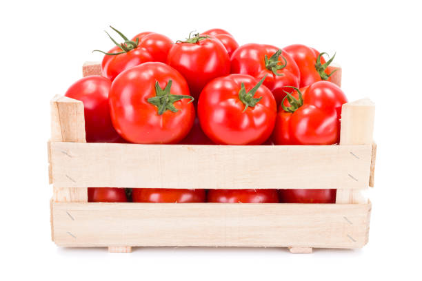 istock Tomatoes (Solanum lycopersicum) in wooden crate 953605972