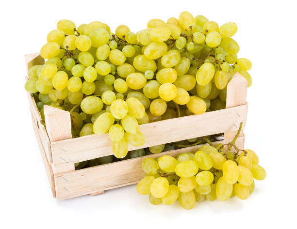 istock White table grapes (Vitis) in wooden crate 953608110