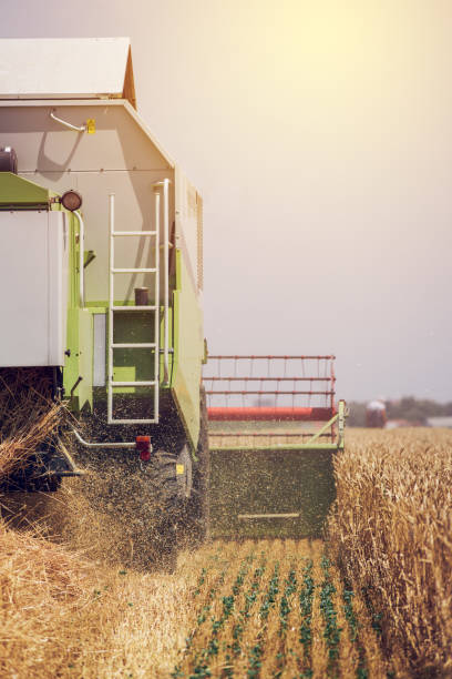 istock Combine harvester machine harvesting ripe wheat crops 953608202