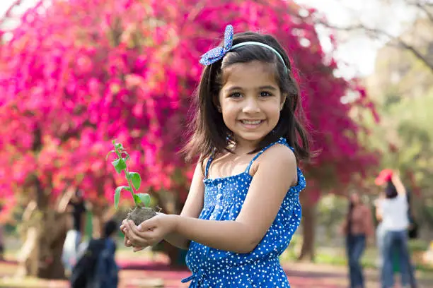 Photo of Girl plant sapling tree - Stock image