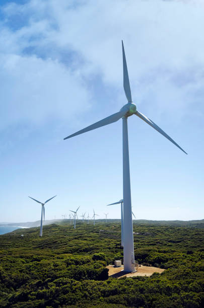 istock Wind Farm  Albany Western  Australia 953608566