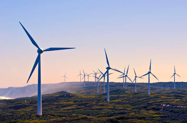 바람 농장 서 호주 - wind turbine wind turbine wind power 뉴스 사진 이미지