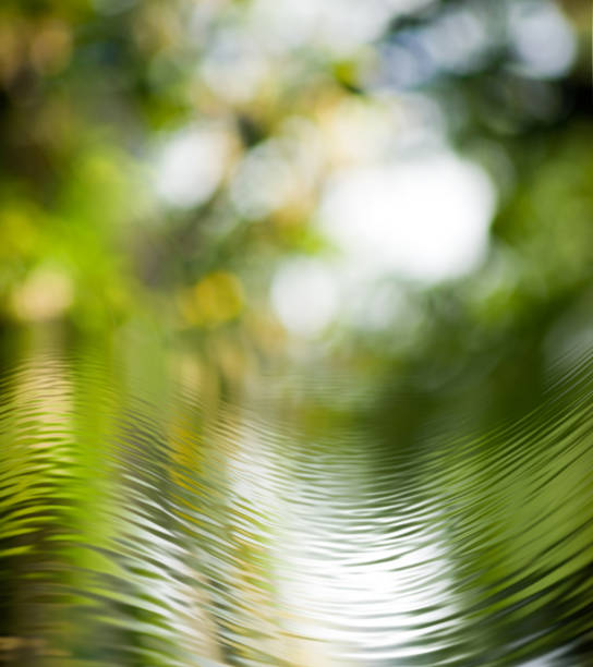 istock abstract image of water background close-up 953615644
