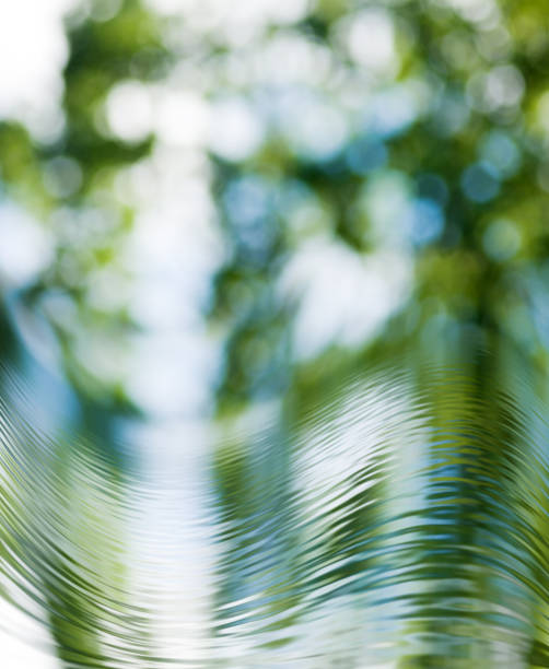 istock abstract image of water background close-up 953615652