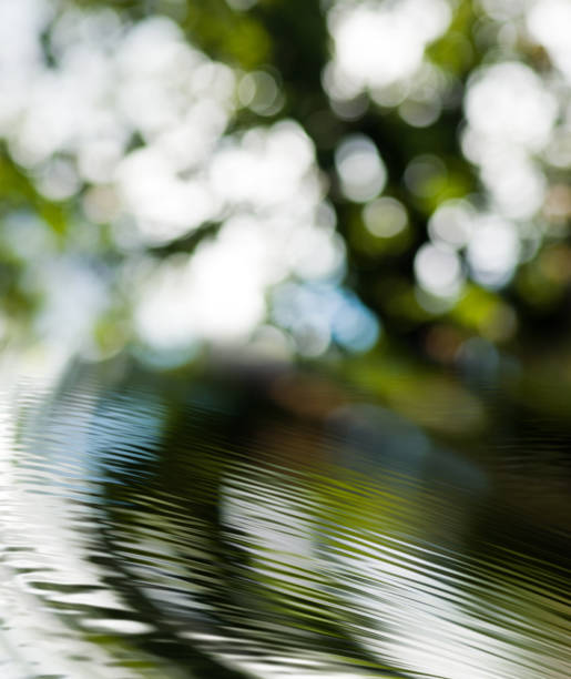 istock abstract image of water background close-up 953615664
