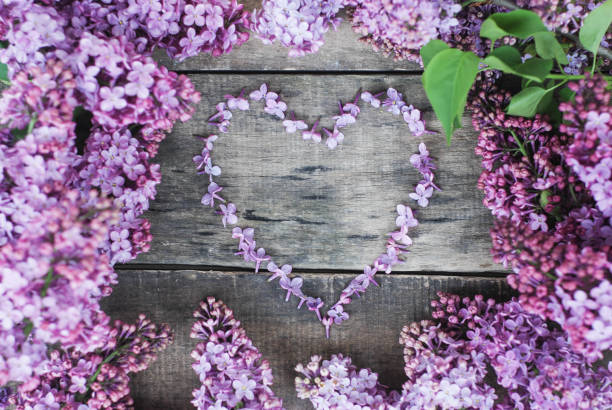 istock Spring flowers. Lilac flowers Frame Heart Shape Textured rustic Gray wooden background. Top view, flat lay 953619682