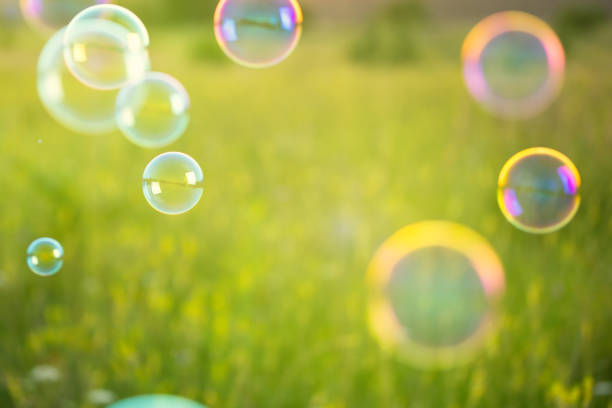 istock Abstract, blurry soap bubbles in the field at sunset background. Design Elements 953623572