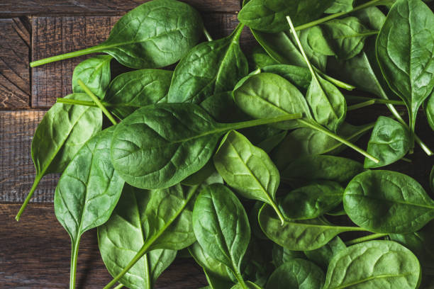 背景としてベビーほうれん草葉 - spinach ストックフォトと画像