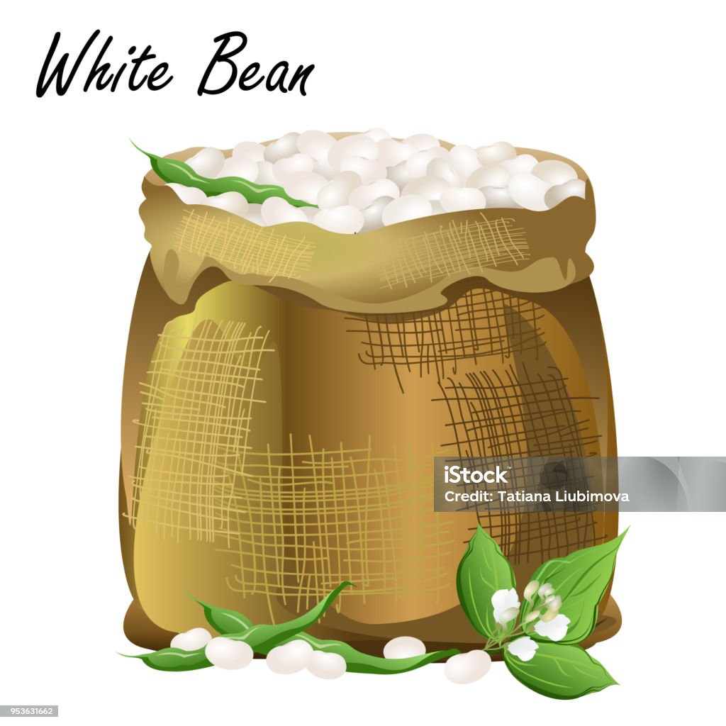 Sack Of White Beans Realistic Vector Illustration Of Jute Bag With Common  White Beans Stock Illustration - Download Image Now - iStock