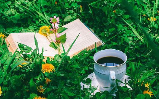 open book and a Cup of hot coffee on a green meadow in the summer or spring morning
