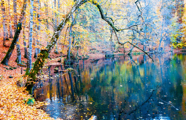 istock Yedigoller or Seven Lakes National Park in Turkey 953632200