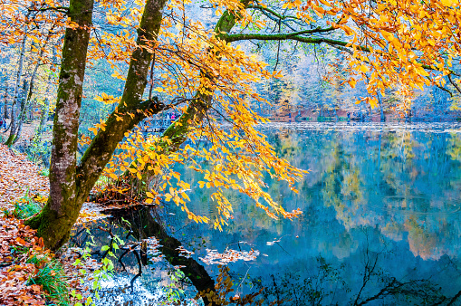 Colorful autumn in Yedigoller or Seven Lakes National Park of Turkey