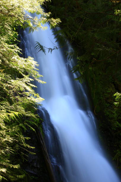 istock Murhut falls-Olympic National Forest,Washington state 953632516