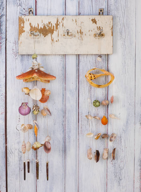 istock composition of sea shells on a wooden wall 953632876