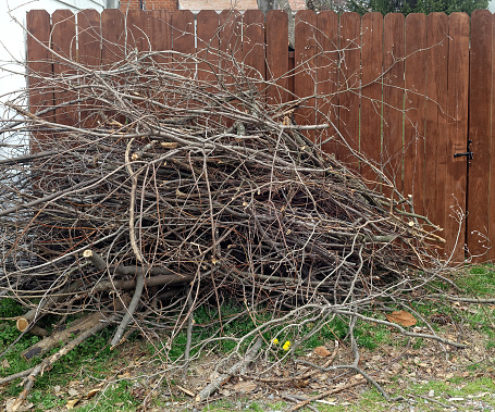 Stacked yard maintenance debris branches against fence in alley.
