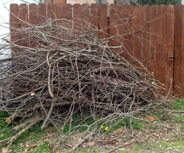 przycięte gałęzie drzew - garden waste zdjęcia i obrazy z banku zdjęć