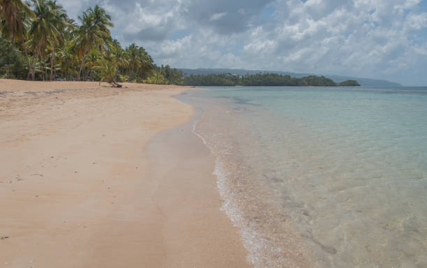 istock Wide beach view, Las Terrenas, Dominican Republic 953636358