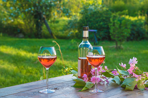 two glasses of pink wine and branch of japanese cherry blossom on a rustic wooden table in the green garden on sunlight