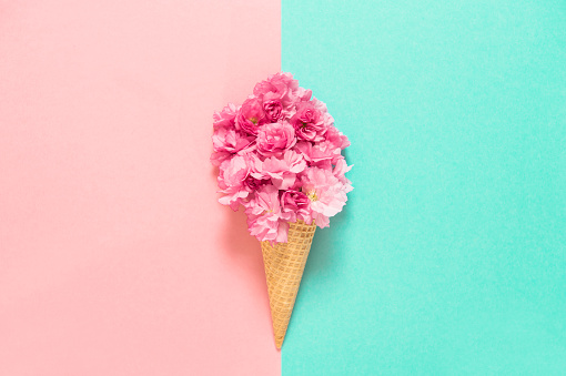 Cherry tree blossom in ice cream waffle cone. Pink flowers on blue background. Styled flat lay. Minimal concept
