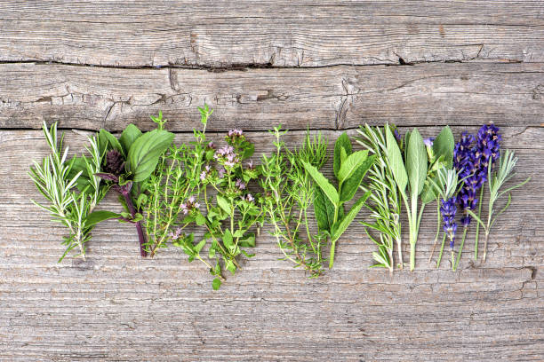 istock Fresh herbs Food background Basil, rosemary, mint, sage 953646524