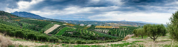 istock Farm and cultivated crops, Greece 953650204