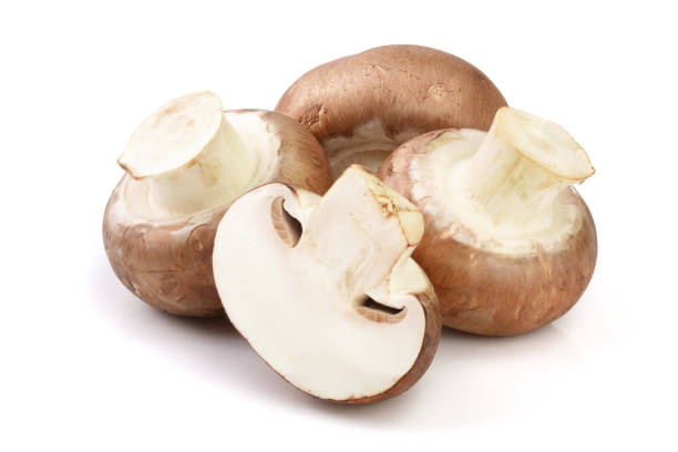 istock Royal Brown champignon with half isolated on white background 953660450