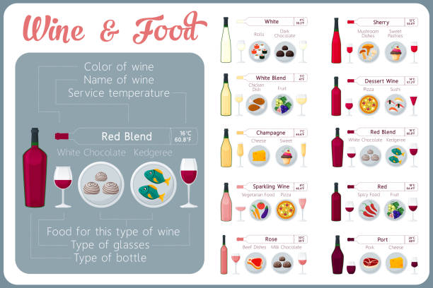 arten von wein und essen. wein verkostung guide. - dry wine stock-grafiken, -clipart, -cartoons und -symbole