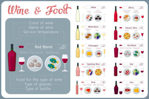 ilustrações, clipart, desenhos animados e ícones de tipos de vinho com a comida. guia de degustação de vinho. - dry wine