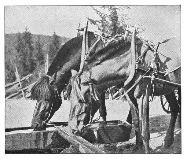 istock Horses in Oberammergau, Germany - 19th Century 953664082