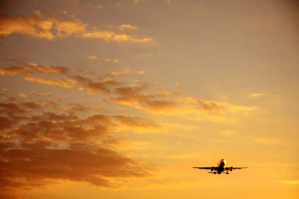 istock Flying commercial passenger airplane over sunset sky 953678792