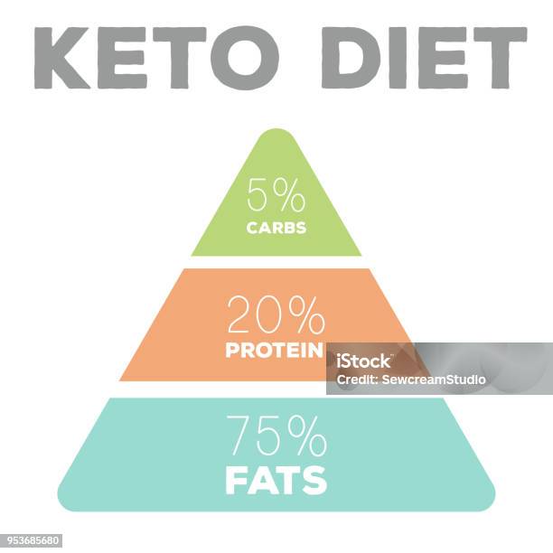 Ketogenic Diet Macros Pyramid Diagram Low Carbs High Healthy Fat Stock Illustration - Download Image Now