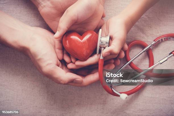 Child And Adult Holding Red Heart With Stethoscope Heart Health Health Insurance Concept Stock Photo - Download Image Now